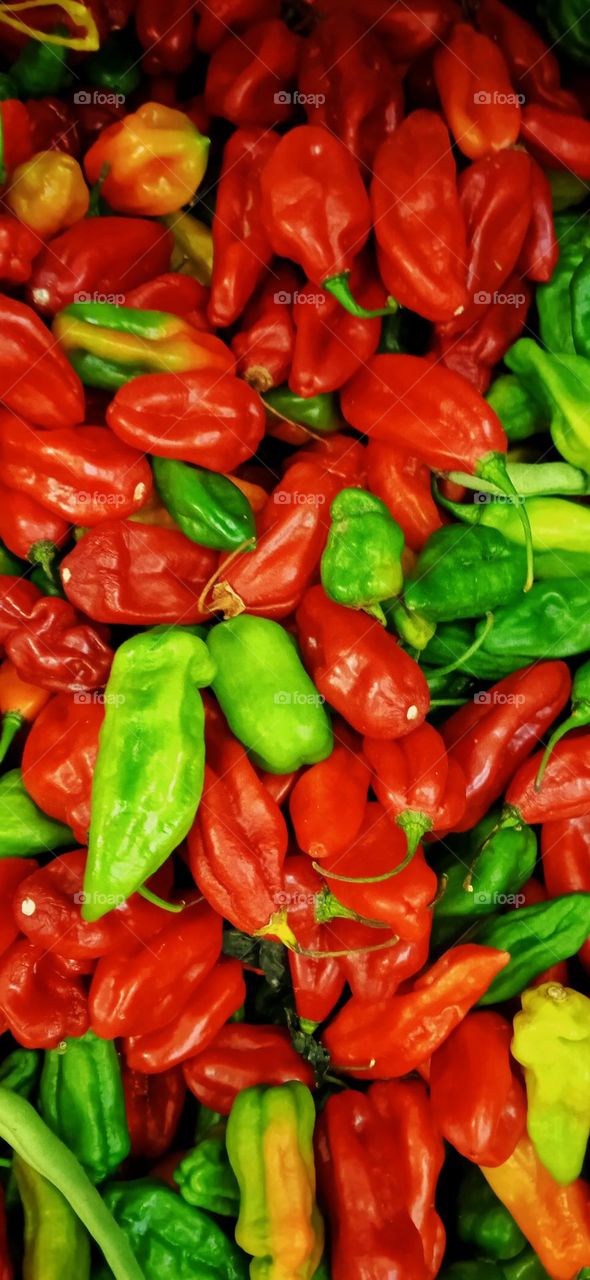 fruits and vegetables 7