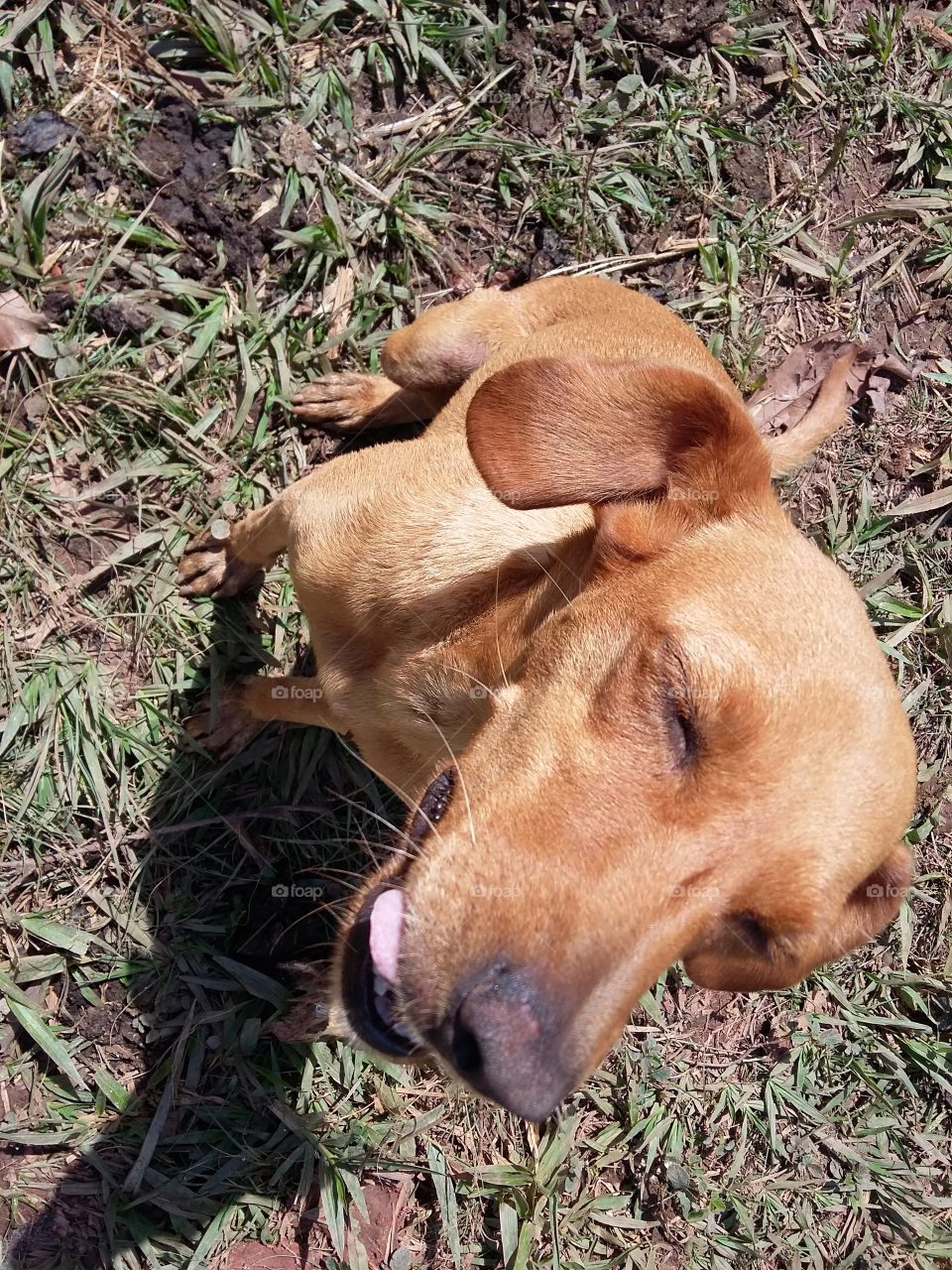 Enjoying the weather