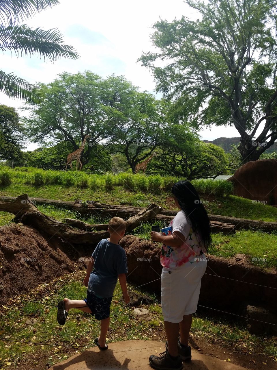 Boy and Grandma check out giraffes at honolulu zoo