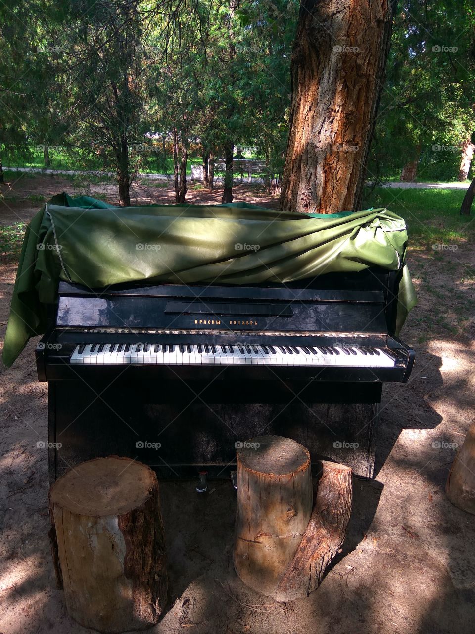 The piano in the park 🎹🌲