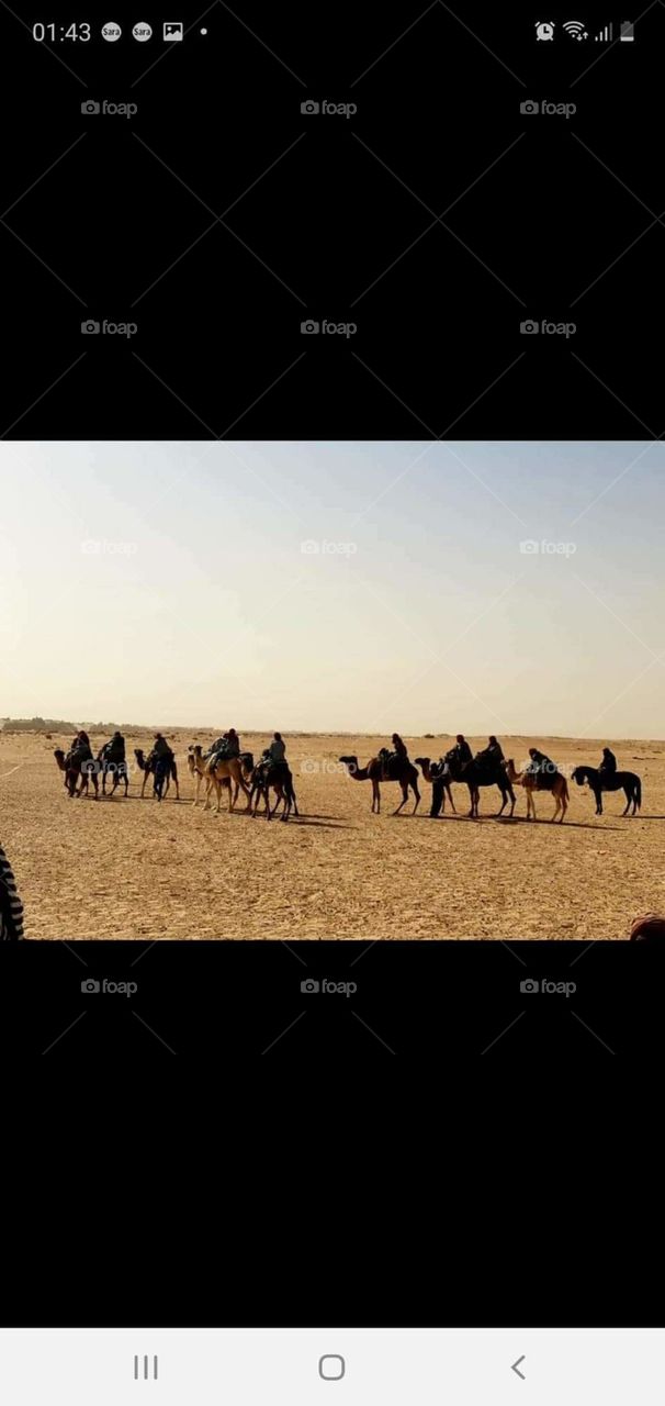 La désert de la Tunisie