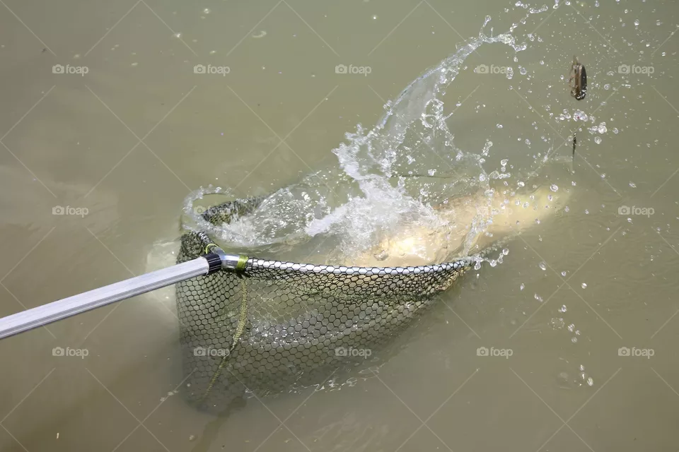 Fishing