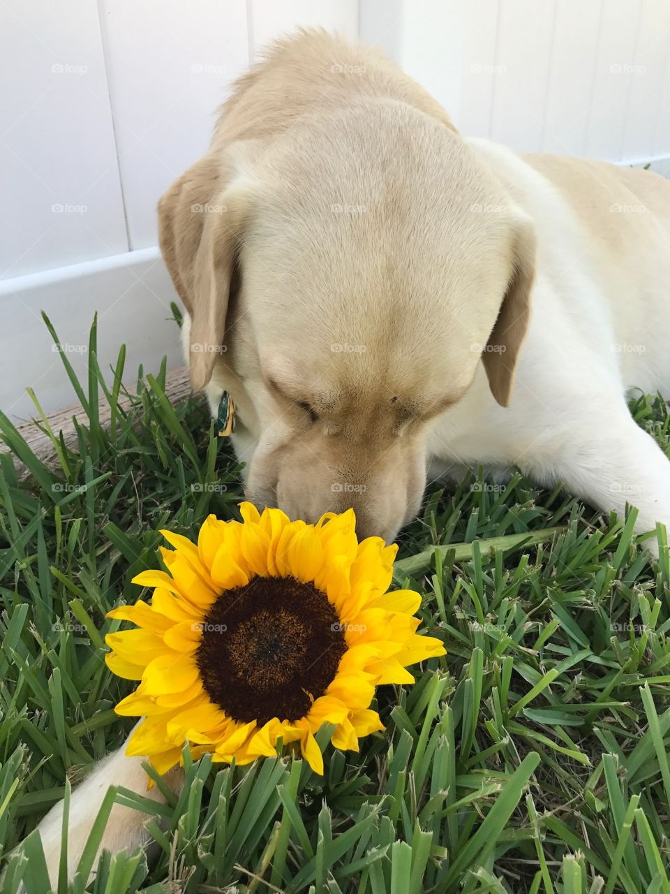 Stop and smell the flowers 