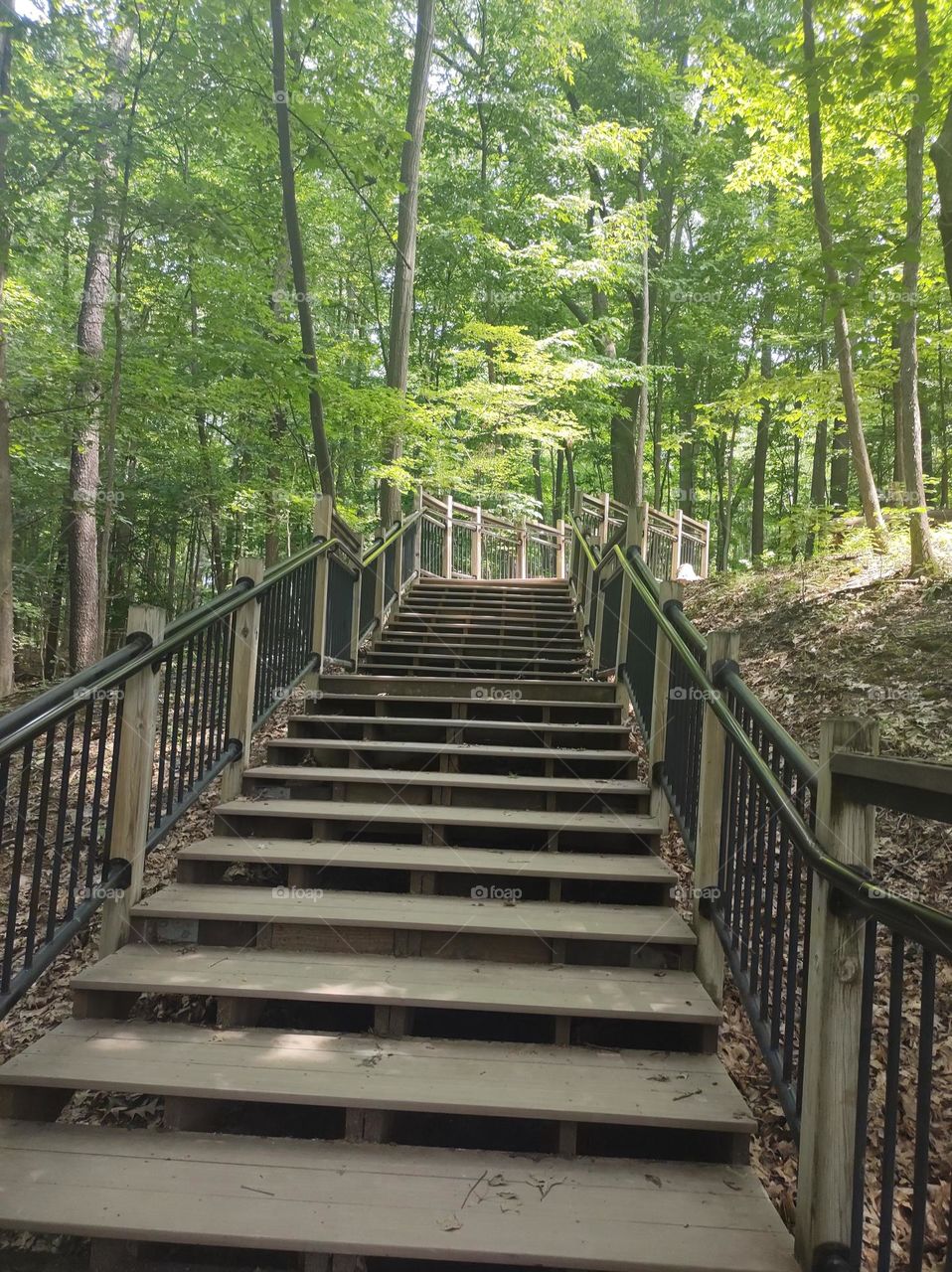 The Path of Stairs