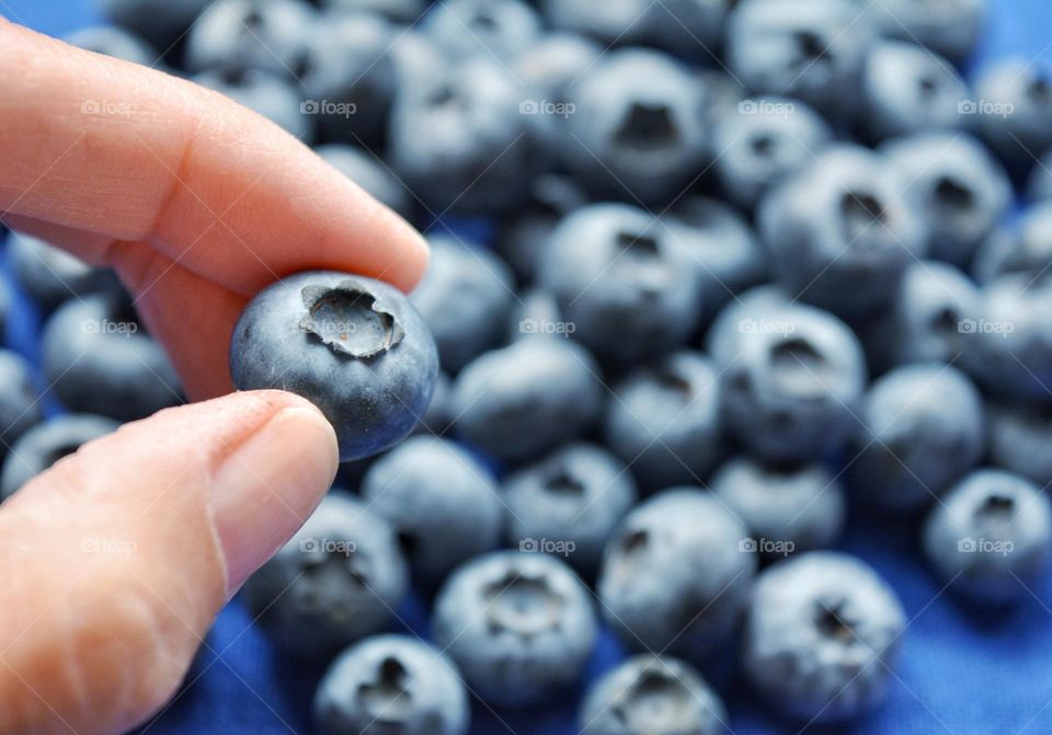 blue 💙 blueberries in the hand close up tasty healthy summer food