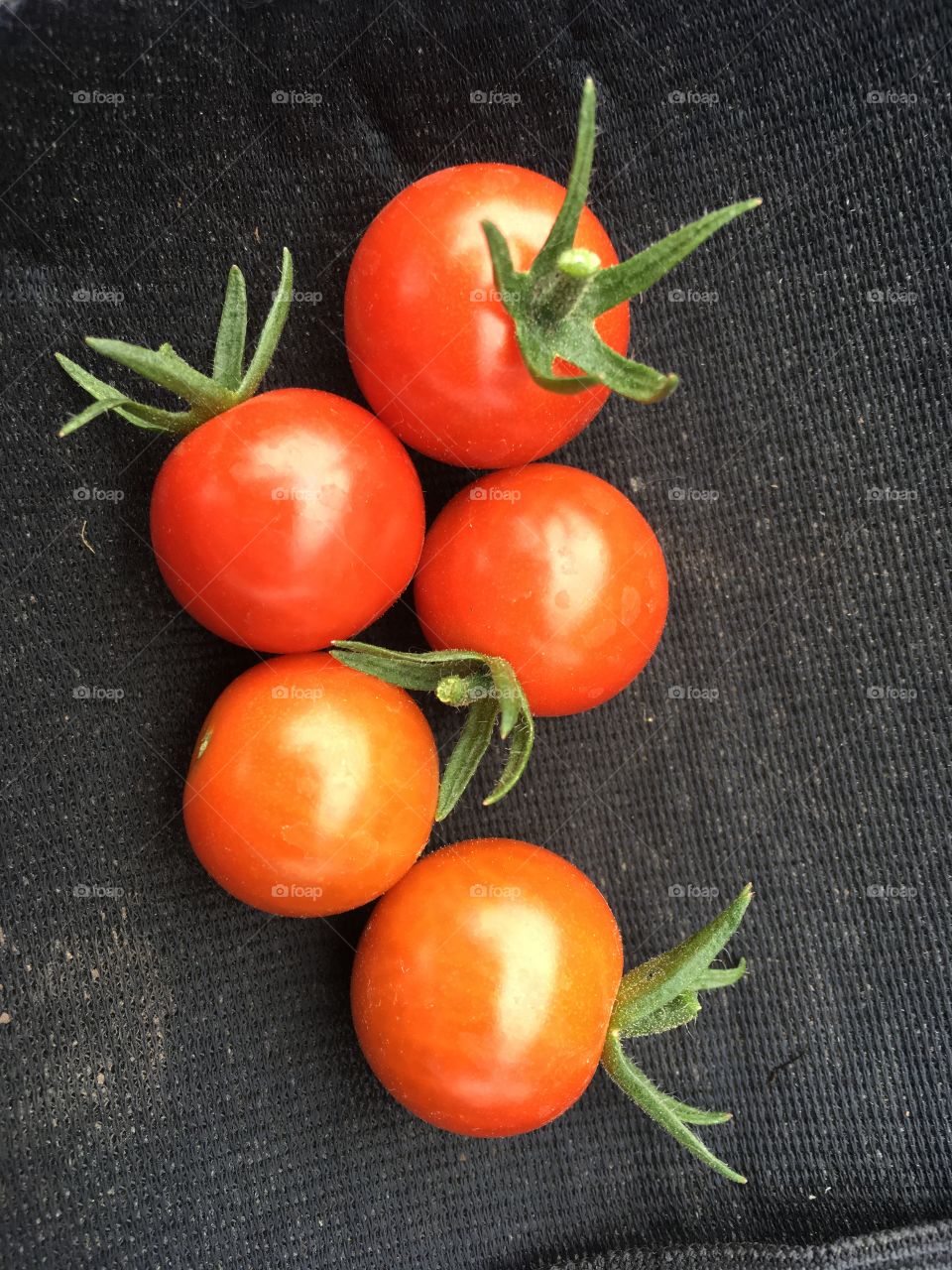 First cherry tomatoes