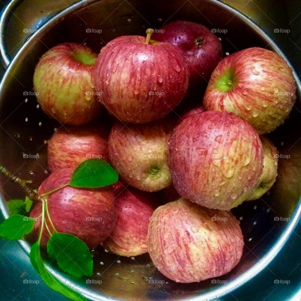 Fresh Picked Apples