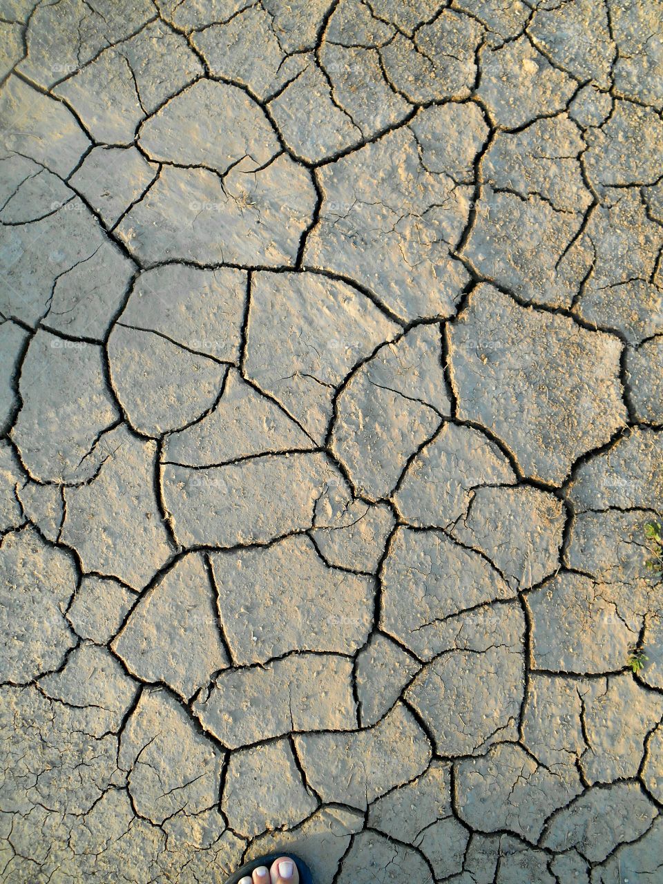 Drought, Arid, Ground, Wasteland, Mud