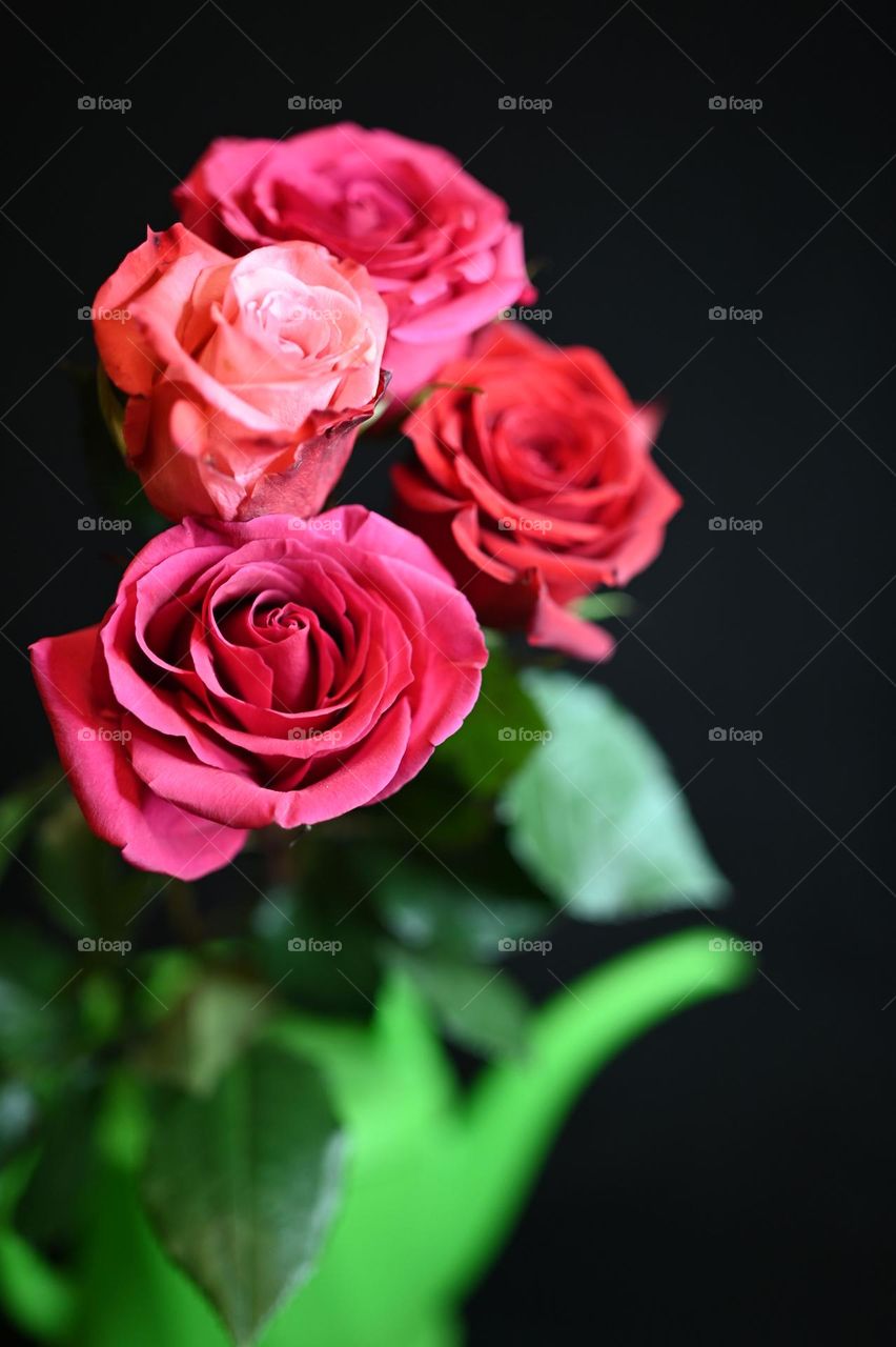 My four precious pink Roses in the green pitcher vase, given by a special person and it shows me that spring and love  is in the air. 