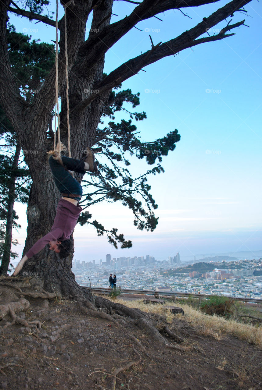 Hanging from a tree in San Francisco 