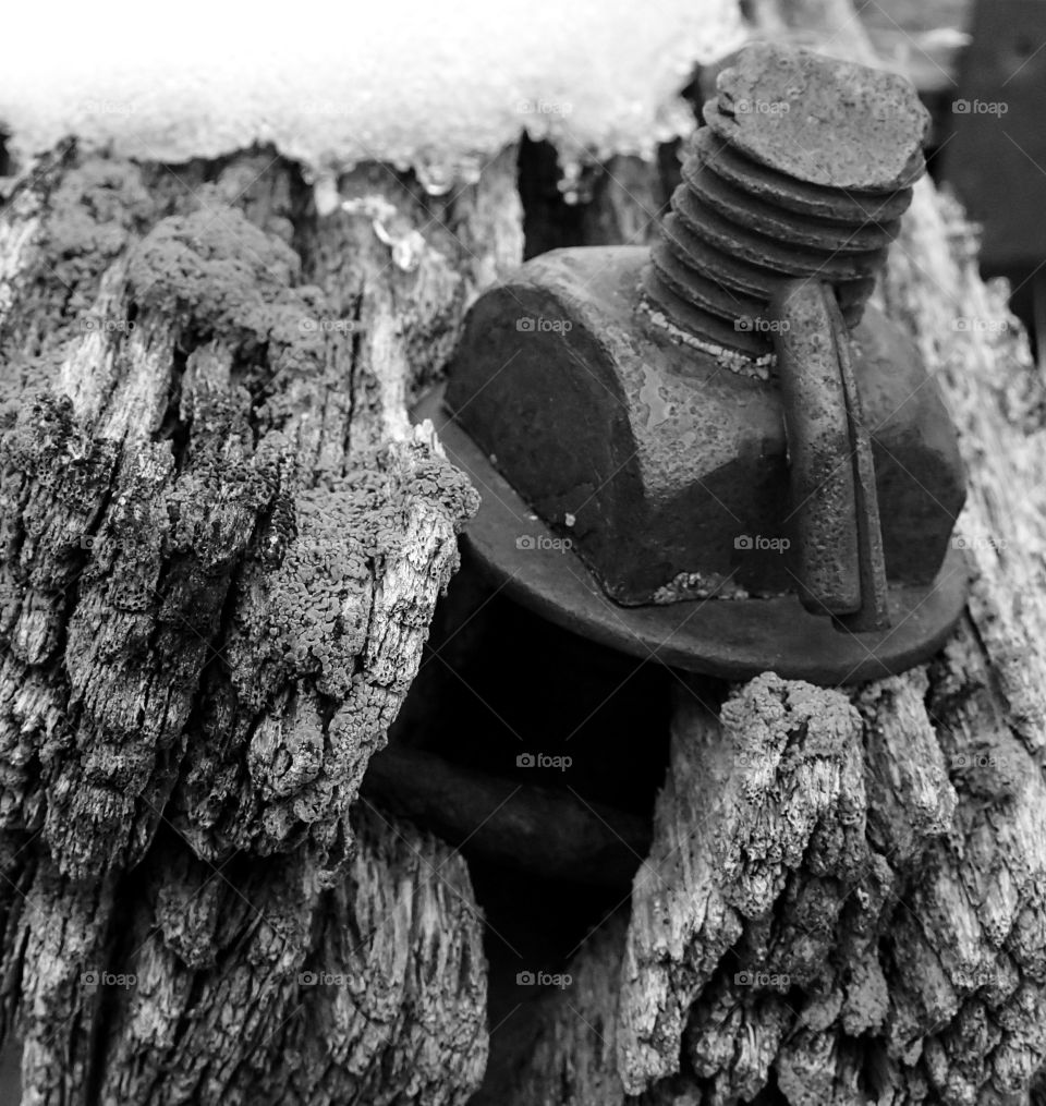 A closeup rusted old bolt on worn and splitting wood with a layer of snow and ice in rural Central Oregon. 