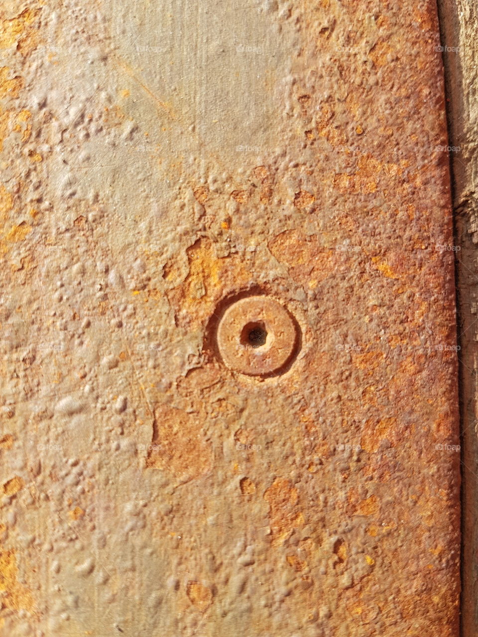 rusted screw