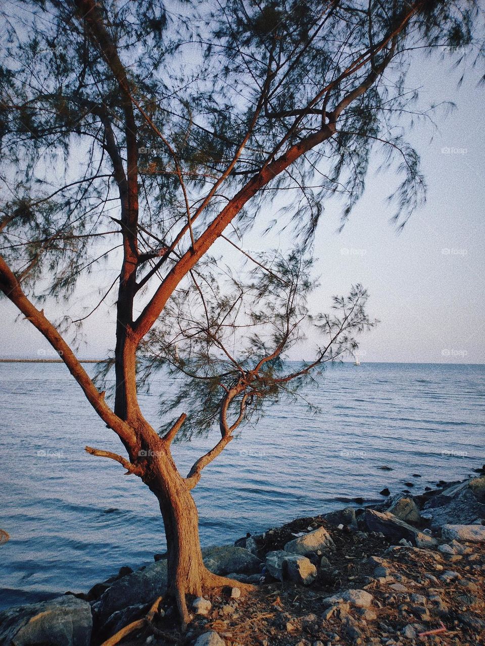 Do you want to come here?