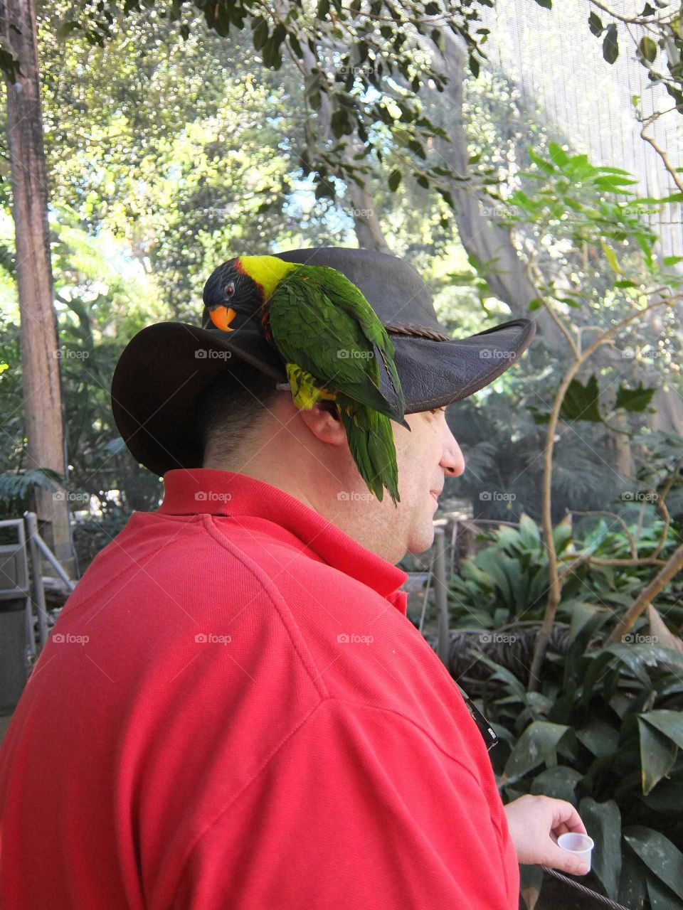 Bird on his head