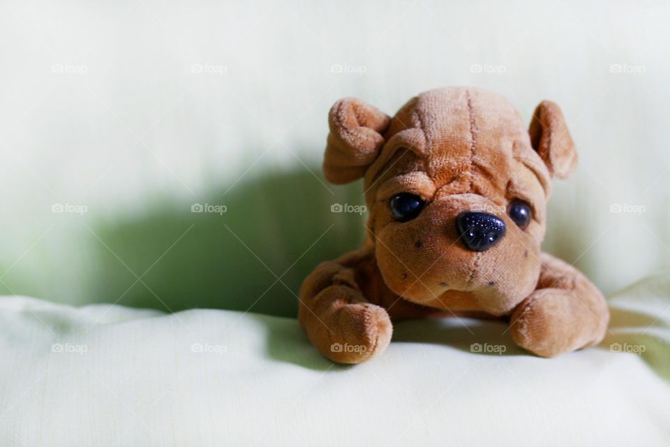 Stuffed animal dog under the blanket