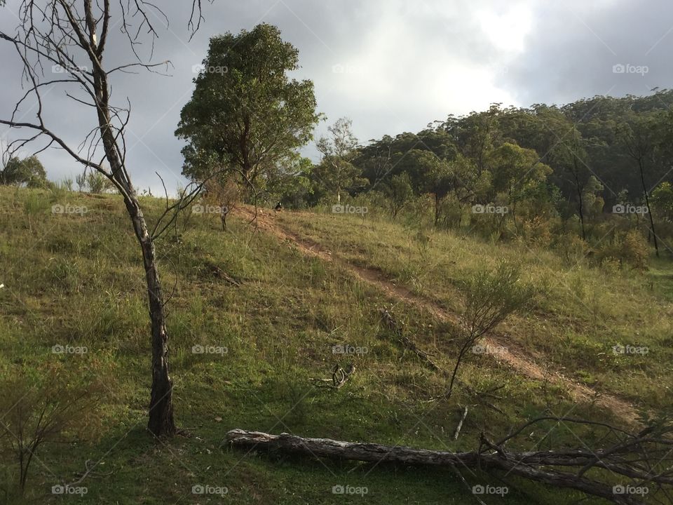 Dirtbike track up a steep hill