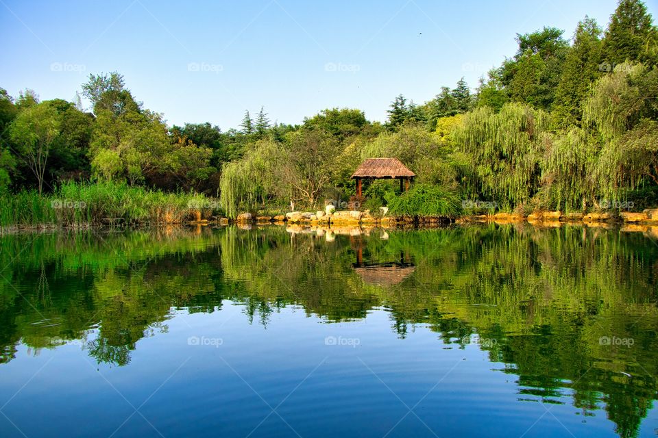 landscape via the blue water floor