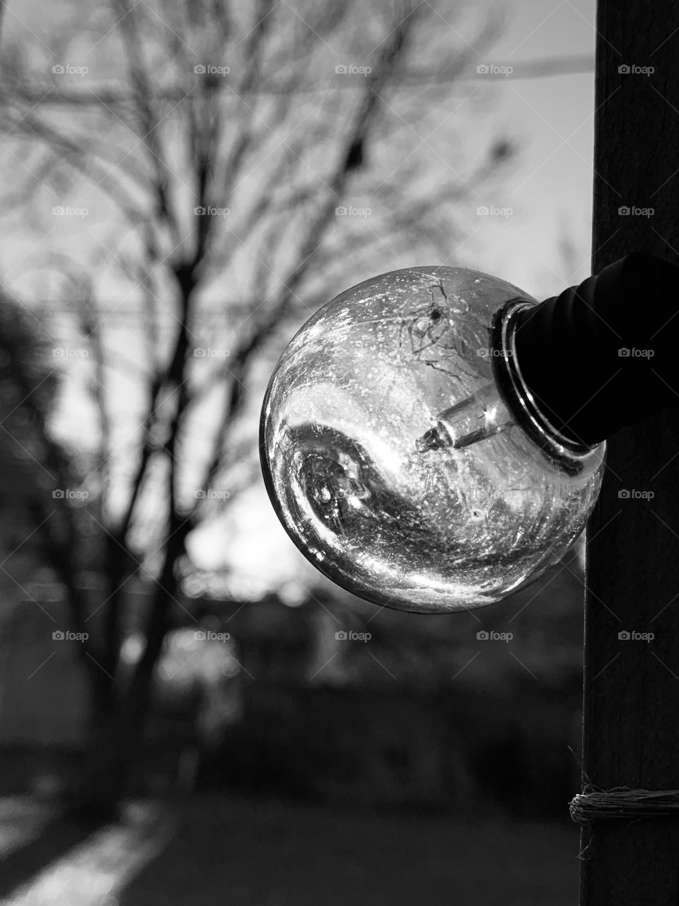 There’s something about frost on glass. (Or in this case, plastic). Even the lack of color can be beautiful. 