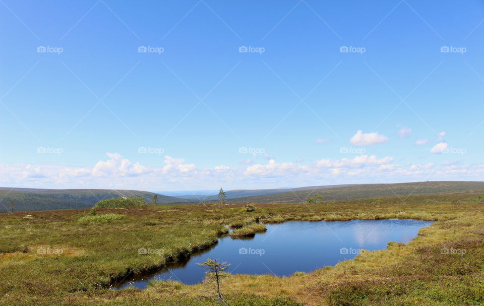 Summer lake in the mountains.