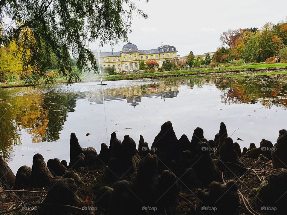Botanischer Garten Bonn