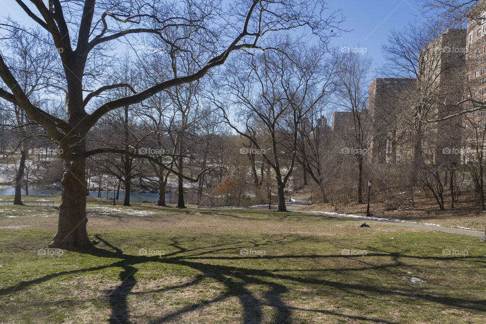 Central Park, New York City, USA.