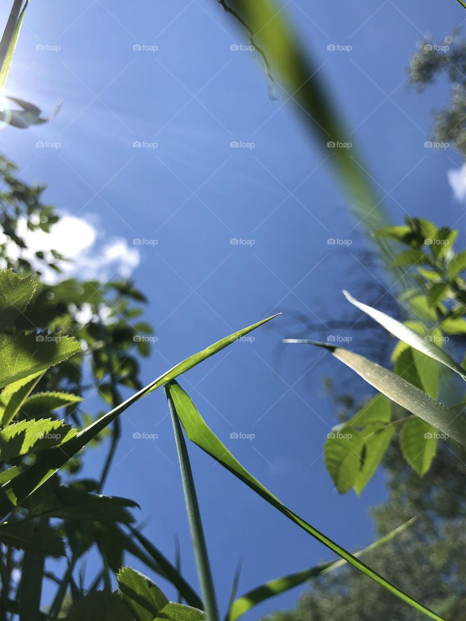 Вид с земли 