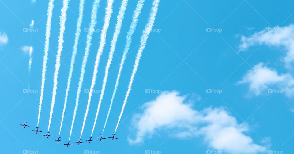 Canadian snowbirds