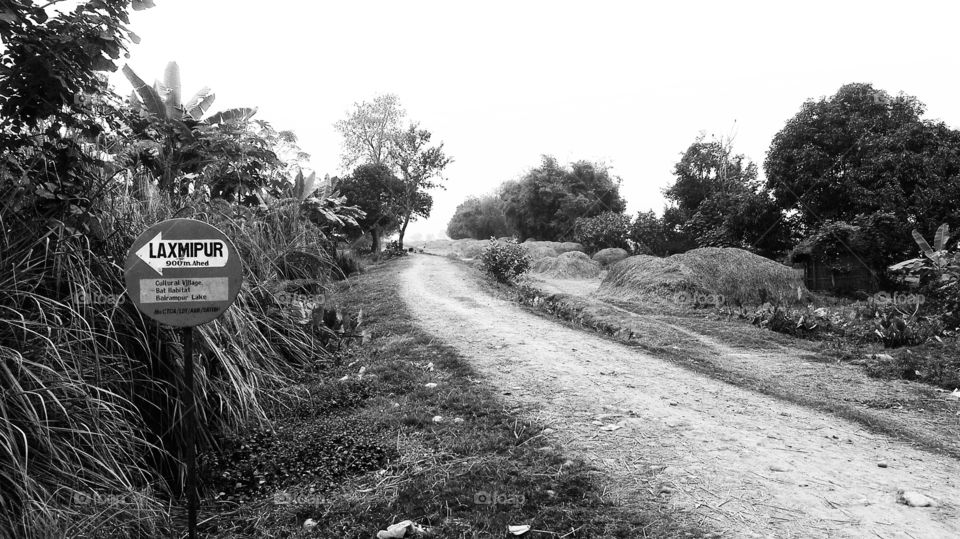 Authentic beauty ,no need for  a supporting audience ...