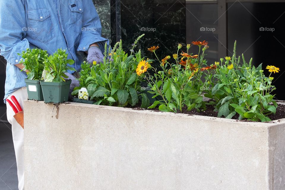 Early Spring Planting