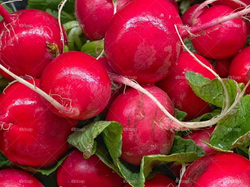 Radishes 