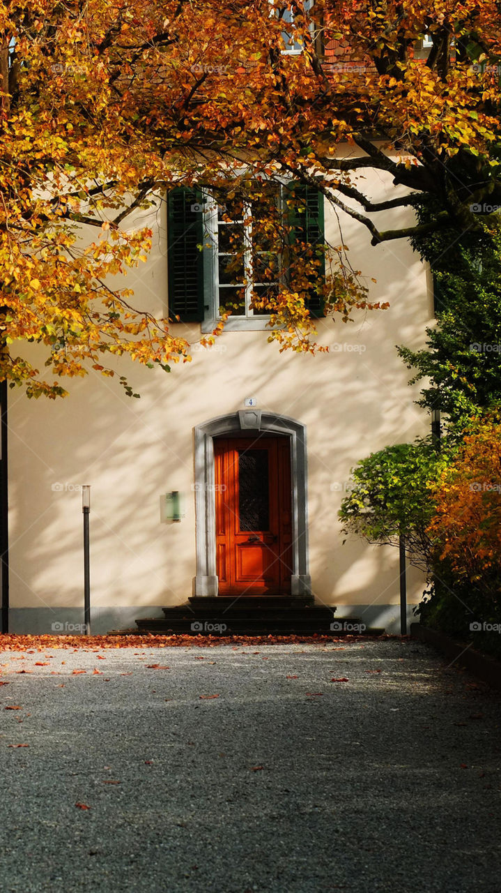 House, Street, Fall, Architecture, Window