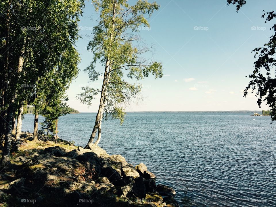 Finnish summer. A summer landscape with lake