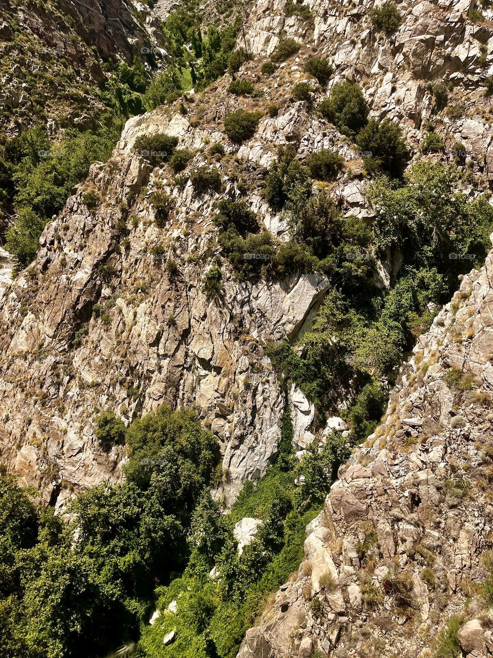 Mountain Vacation View