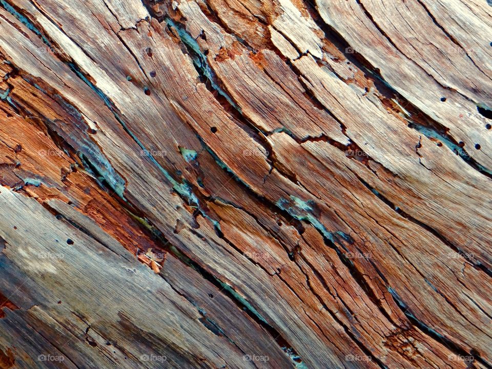 Textured log