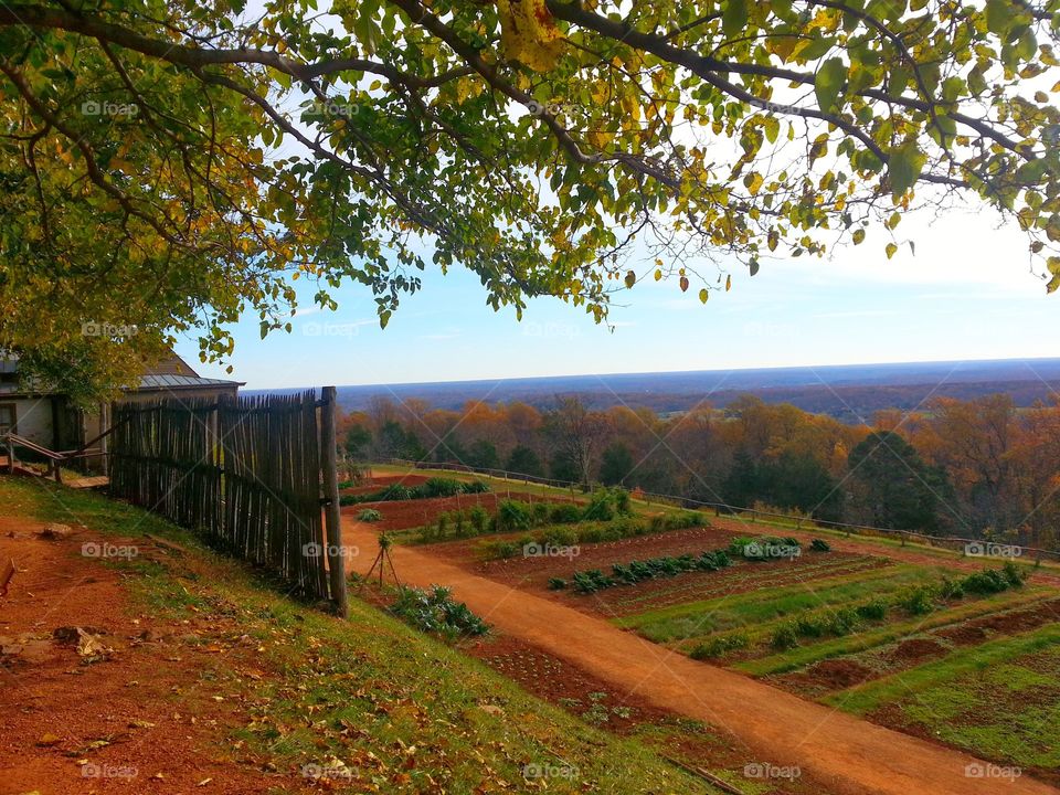 Land once worked by slaves, Thomas Jefferson's farm in Virginia over looking the mountain range. Autumn