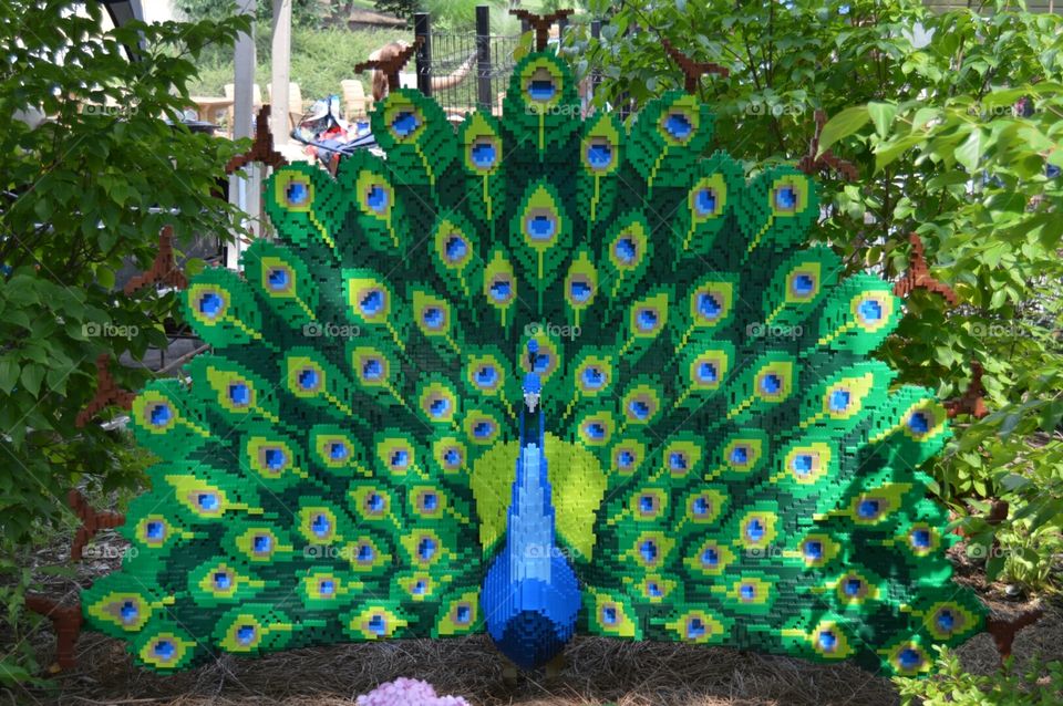 Lego peacock