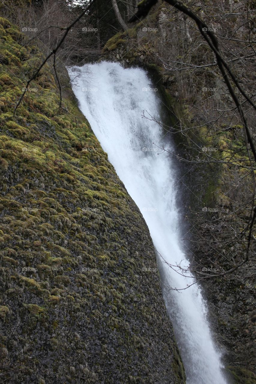 Horsetail Falls Oregon