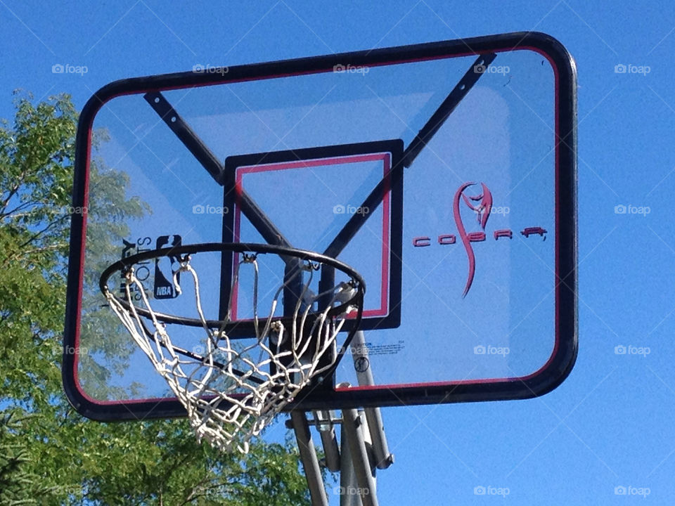 net basketball cobra hoop by gmit