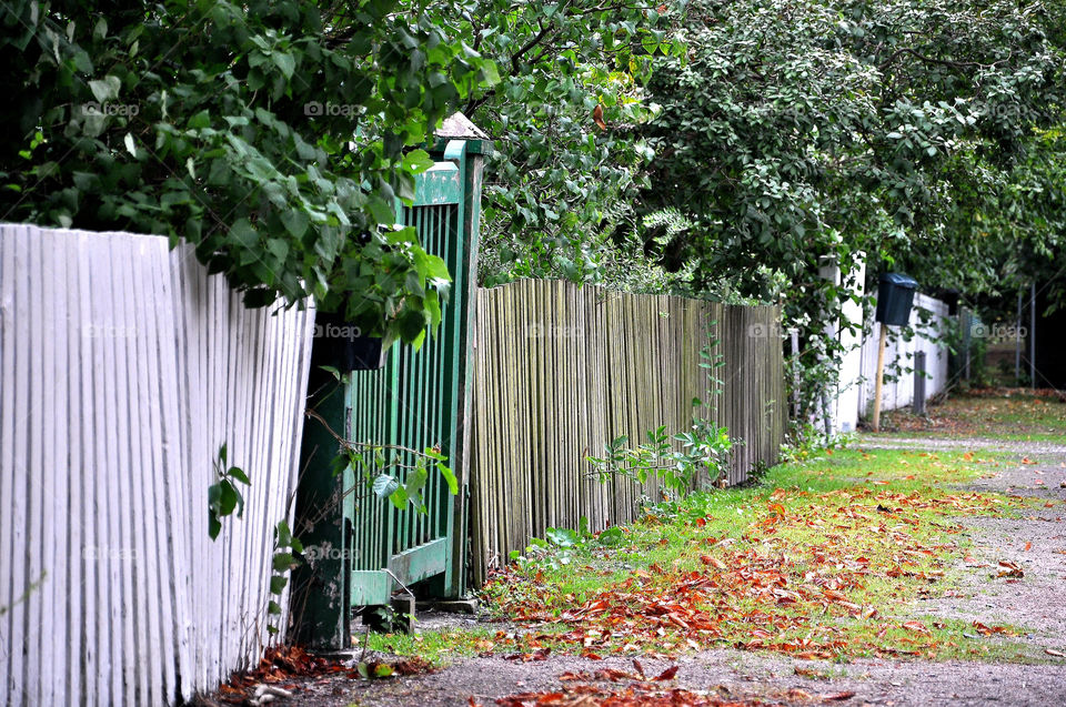 green fence autumn idyll by perkapara