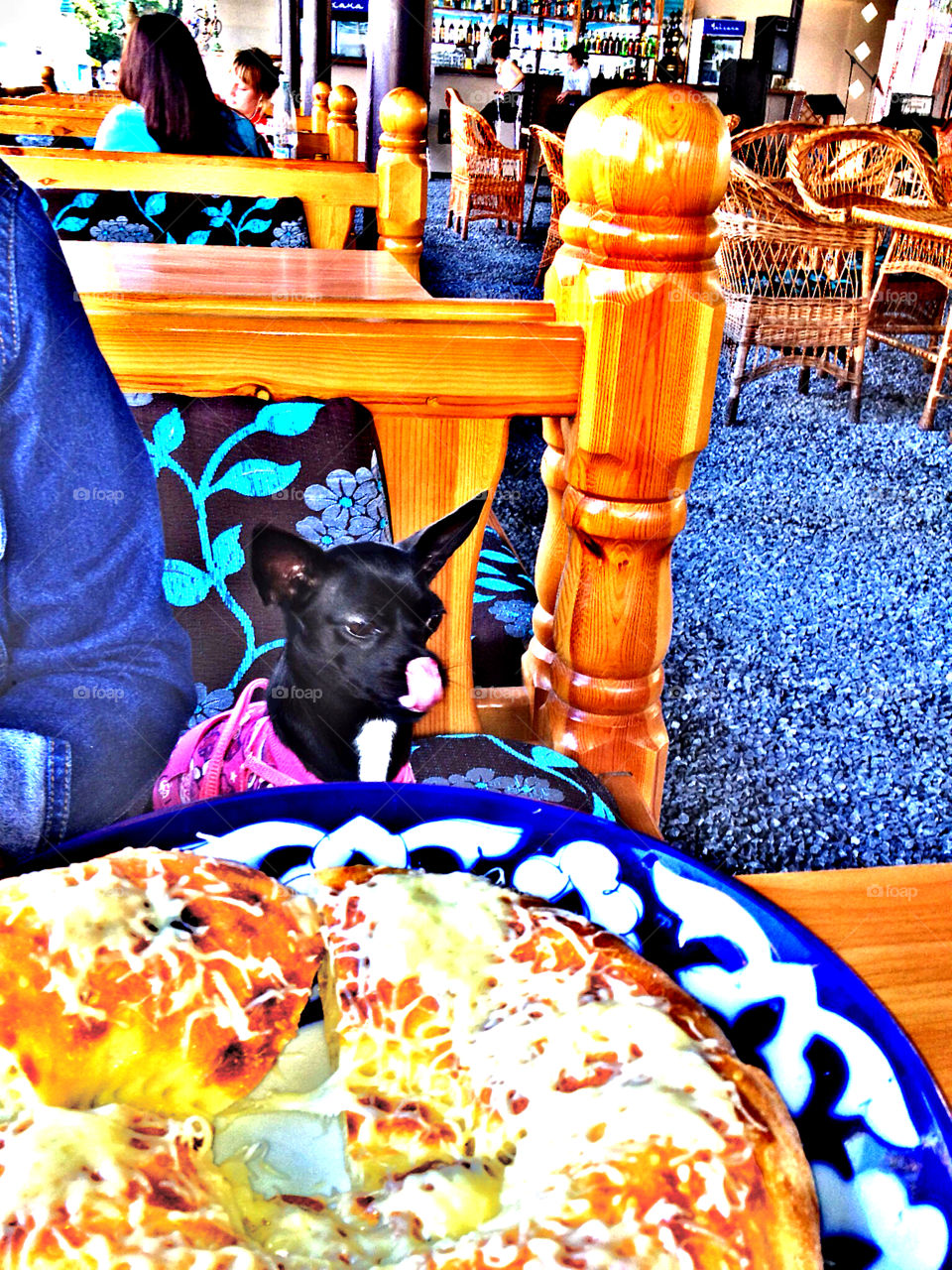 dinner bar pet lunch by tinasha