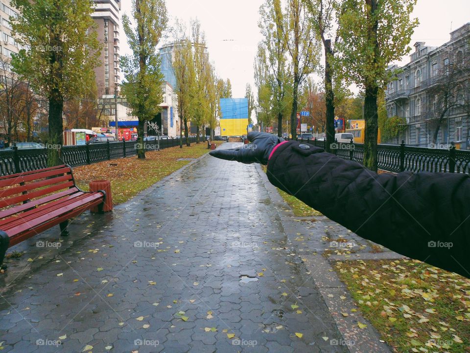 on Kiev city street, autumn