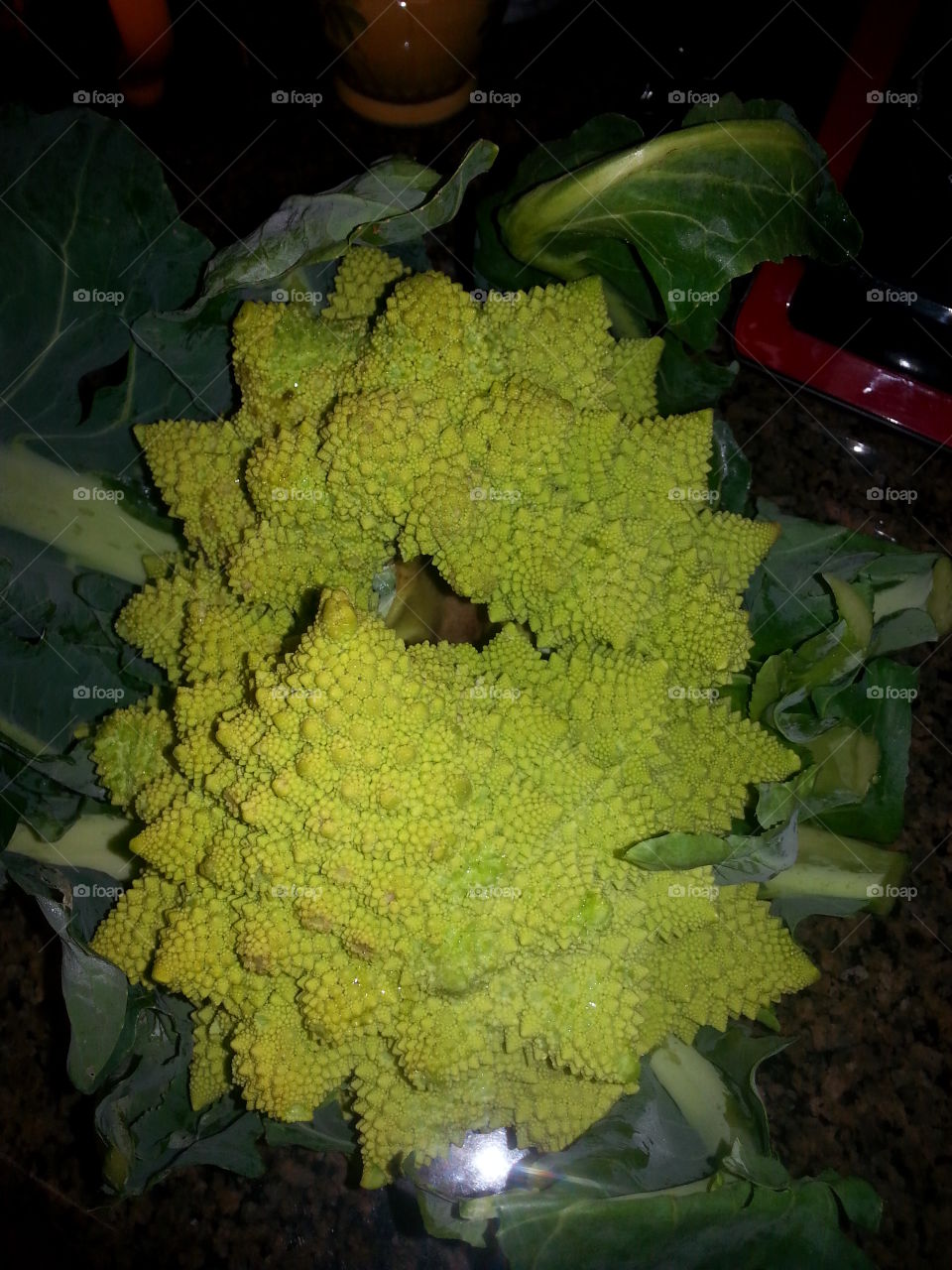 Cauliflower variety