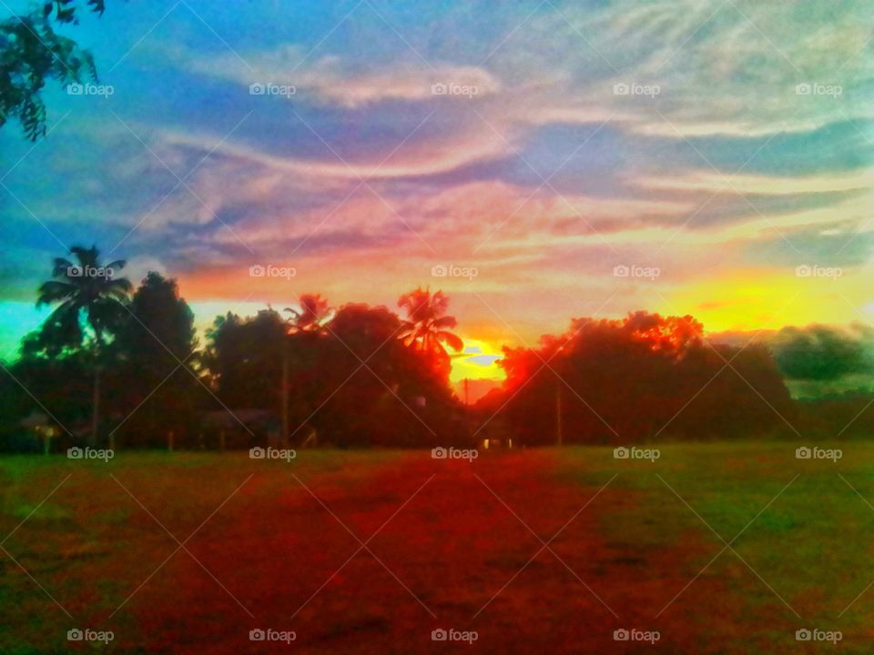 effect of nature in evening