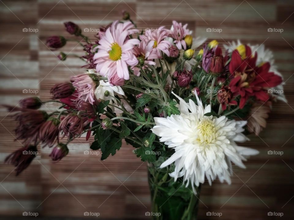 flowers in a vase