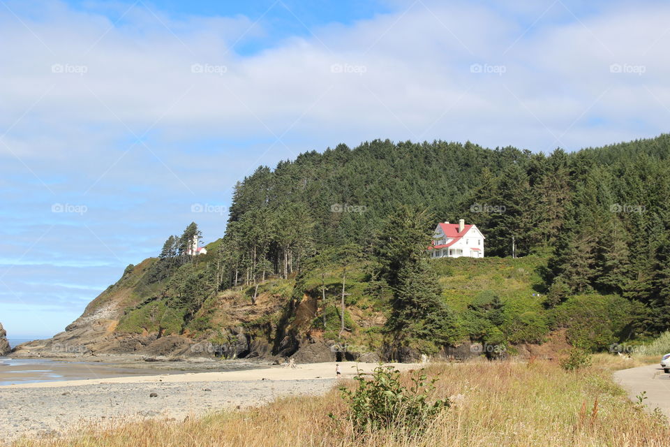 heceta cove