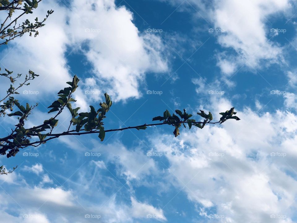 Beautiful blue sky