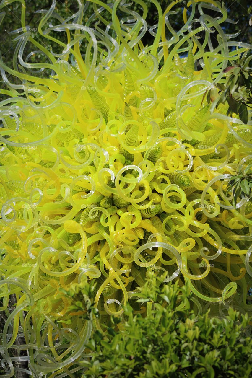 Chihuly on exhibit in botanical garden Atlanta 