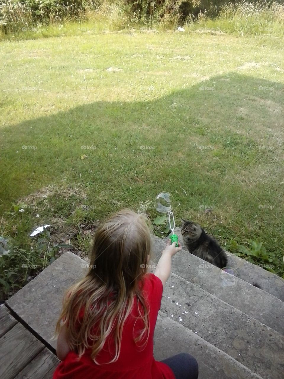 front porch sitting. little girl and her cat