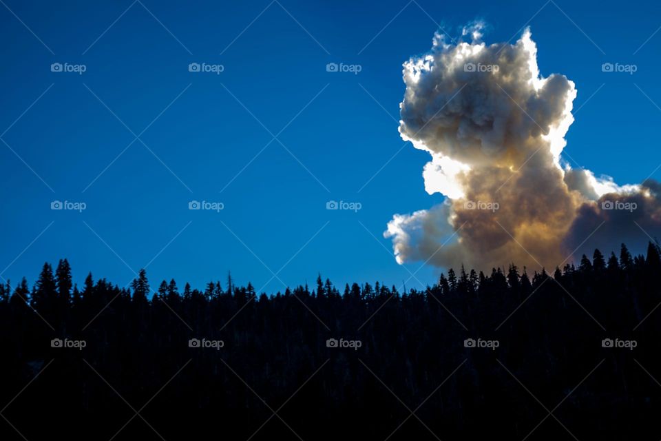 Forest fire in California smoke cloud 