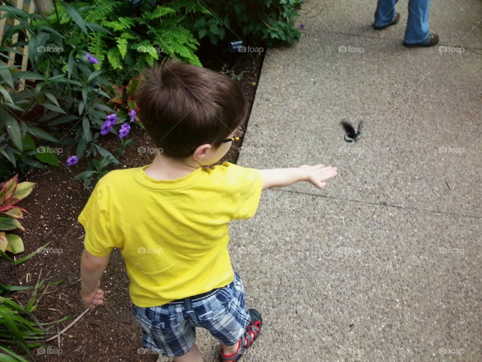 Boy reaches for quick butterfly